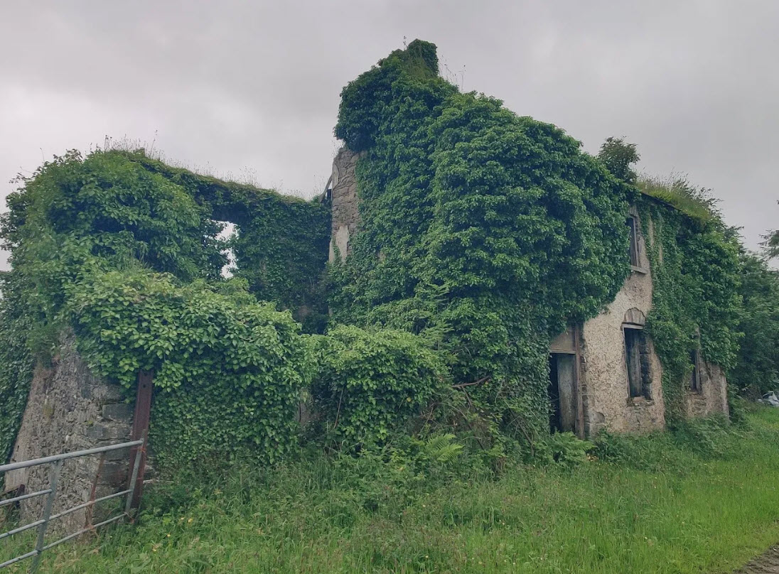 Drumboe Castle, Ireland